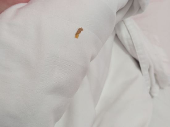 伍德斯託克旅館優惠