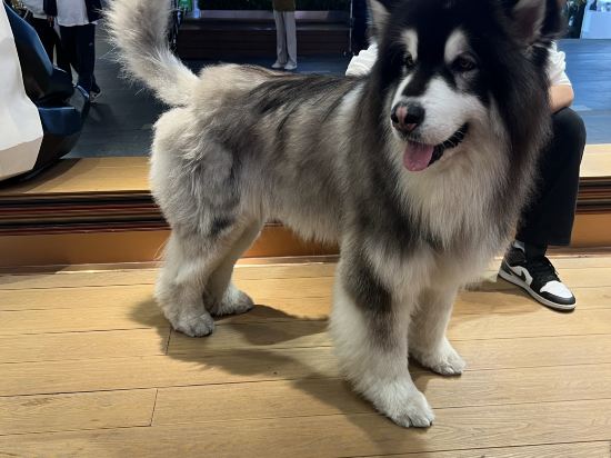 奈樸飯店（珠海環宇城店）優惠