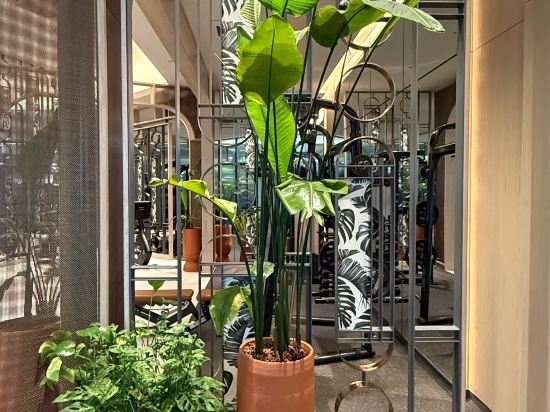 新加坡四季酒店 （Staycation Approved）優惠