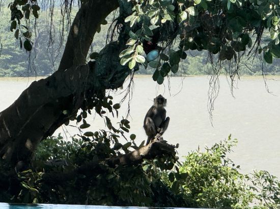坎達拉馬遺產飯店優惠
