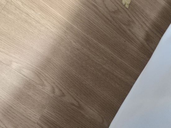 白色之樂飯店及民宿優惠