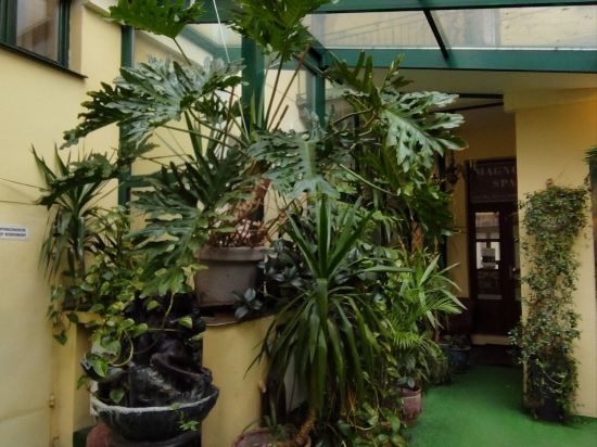 歐羅普斯基酒店優惠