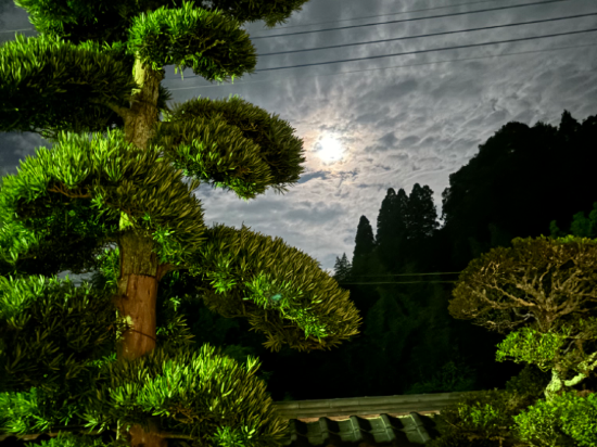 一宿一景一生縁（千葉四街道） クーポン