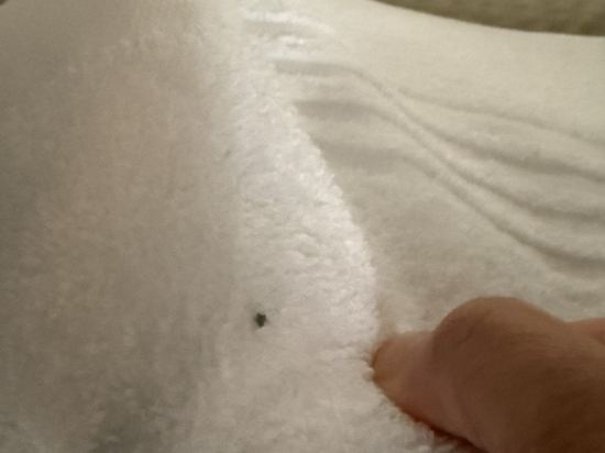 凡爾賽宮阿德吉奧公寓酒店優惠