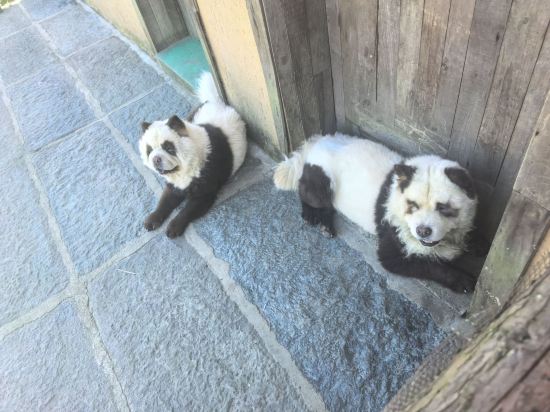 洛杉磯/聖加布裏埃爾希爾頓酒店優惠