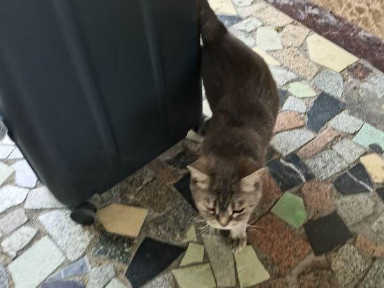 張掖絲路行者青年旅舍優惠
