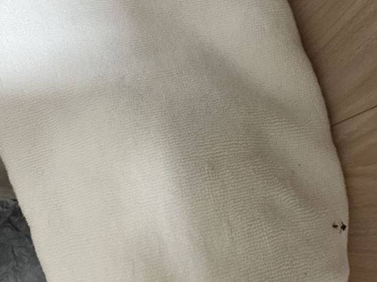 星程酒店（豐順金大温泉店）優惠