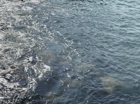 珠海格力東澳大酒店優惠