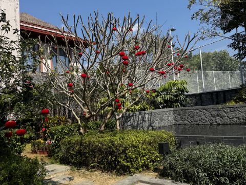 廣州都喜泰麗温泉度假酒店優惠