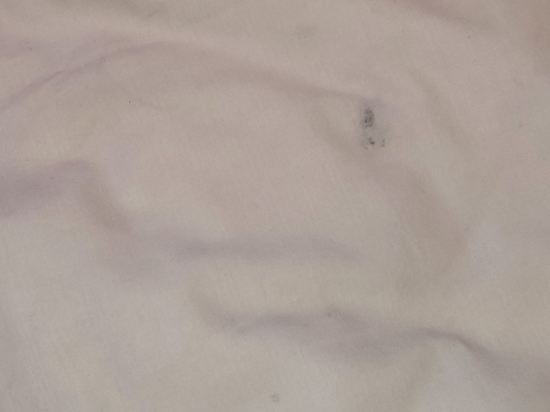 阿媽羅薩豪華酒店優惠