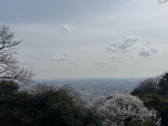 大和Roynet酒店岐阜優惠