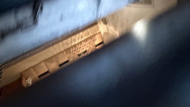 review picture
