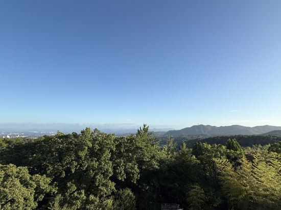 兵衛向陽閣 クーポン
