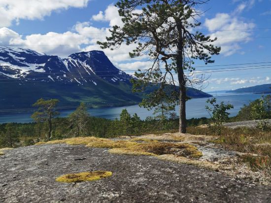 波爾圖星級酒店優惠