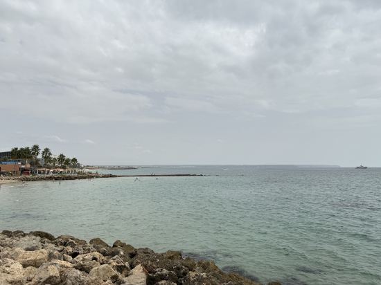 帕爾馬灣美利亞酒店優惠