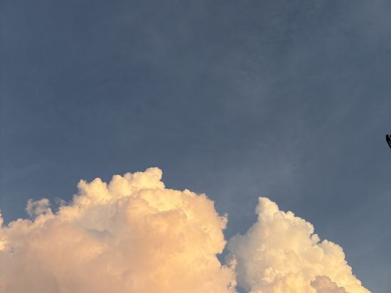 ティサージホテル那覇 クーポン