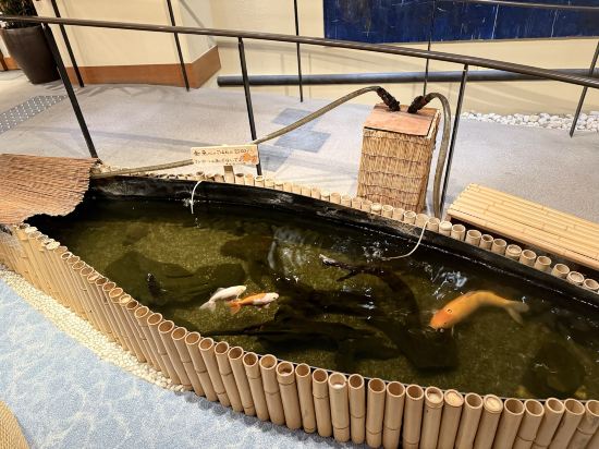 箱根小涌谷温泉 水の音 クーポン