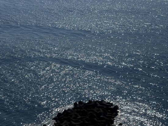 熱川大和館 クーポン