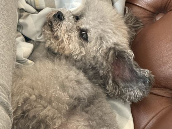 北京怡亨酒店優惠