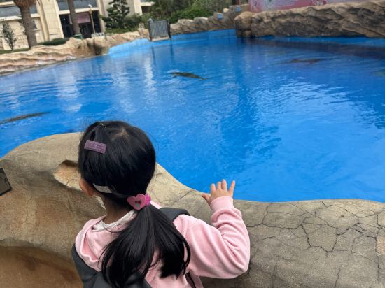 長隆橫琴灣酒店（珠海長隆旗艦店）優惠