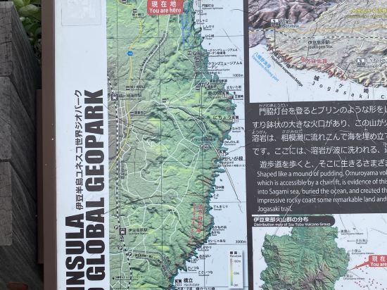 伊豆の家UNO クーポン