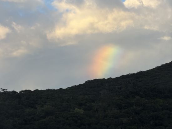 ホテルウェストコート奄美 クーポン