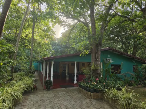 Palitha Homestay Photos