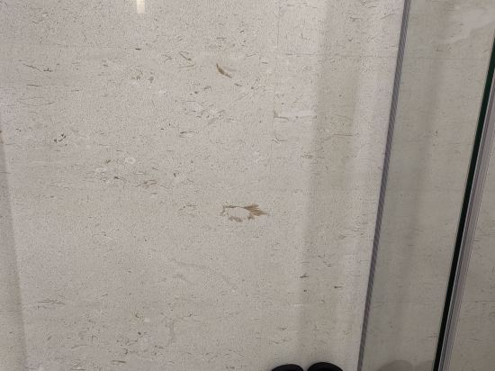 深圳THE HIPPA HOTEL（會展中心燕南地鐵站店）優惠