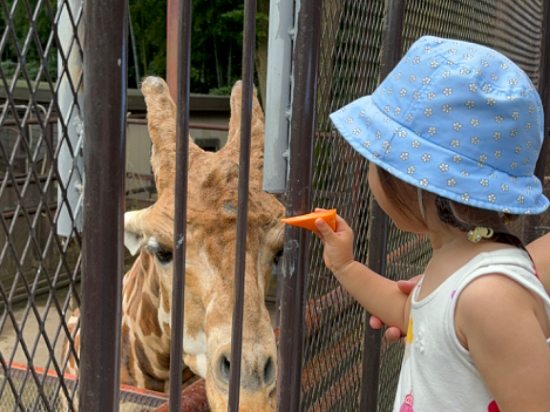 ザ・バンブーフォレスト クーポン