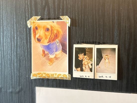 Mozzi青年旅舍優惠