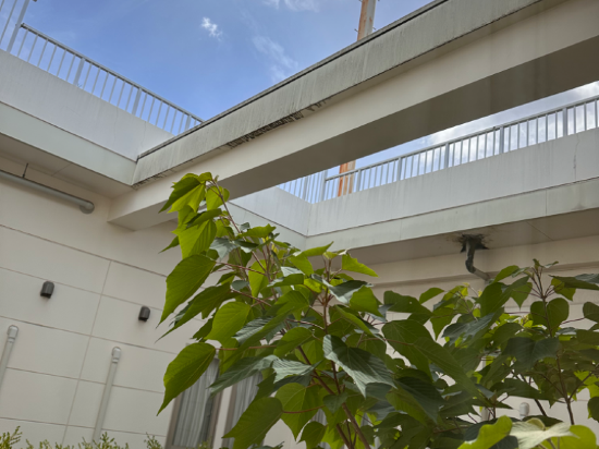 ホテルリブマックスBUDGET浜松駅前 クーポン