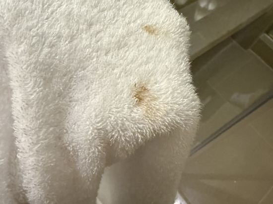 上海浦西萬怡酒店優惠