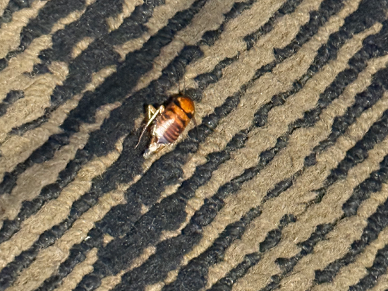 西門日記旅店（台北六福館）優惠