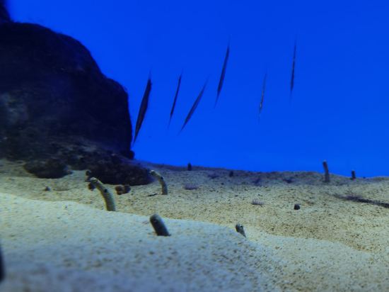 神戸みなと温泉 蓮 - 大人限定 クーポン