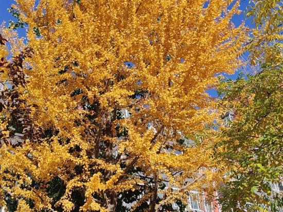 北京萬方苑國際飯店優惠