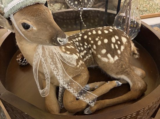 神祕圖鑒·SecretLand飯店（中山路步行街輪渡碼頭店）優惠