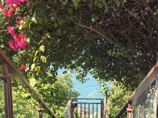 深圳半天雲海岸度假村優惠