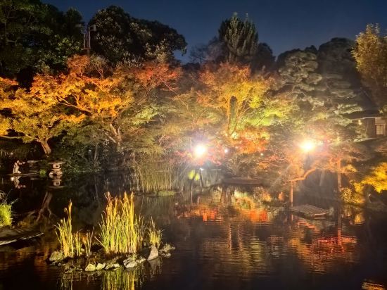 東京新大谷酒店花園塔酒店優惠