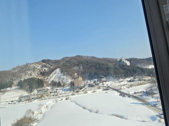 위드랜드 평창점 쿠폰