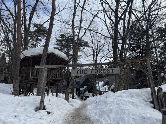 白馬樅の木ホテル クーポン