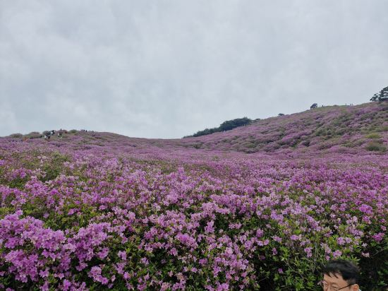 산청한방가족호텔 쿠폰