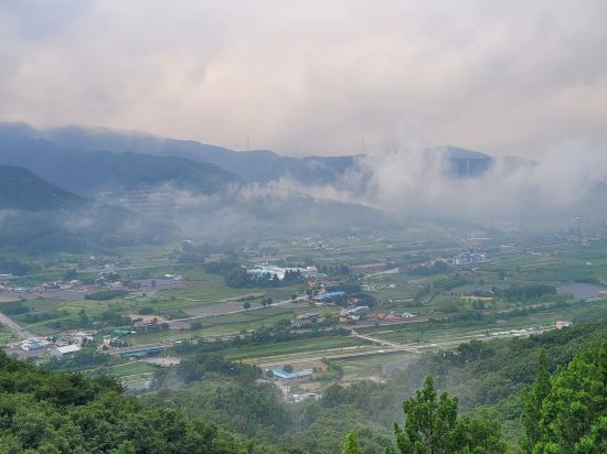 켄싱턴리조트 충주 쿠폰