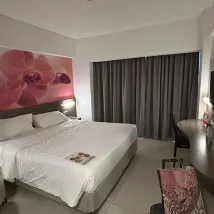 Aka va opa haqida porno komiks