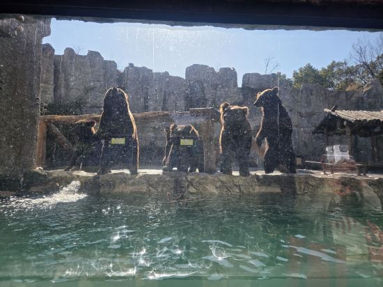 浦天美泊飯店（上海國際旅遊度假區店）優惠