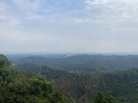 鶴山方圓福朋喜來登酒店優惠