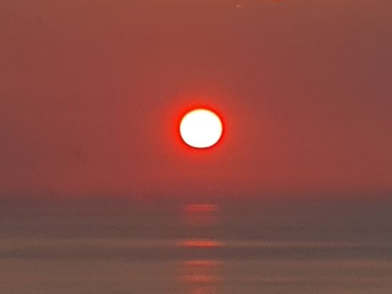 ホテル浦島 クーポン