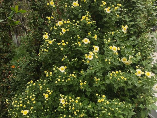 怡家城市飯店（綿陽鐵牛廣場店）優惠