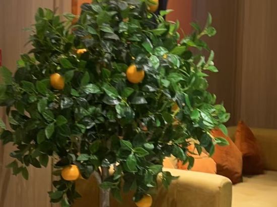 桔子飯店（東莞東城萬達店）優惠