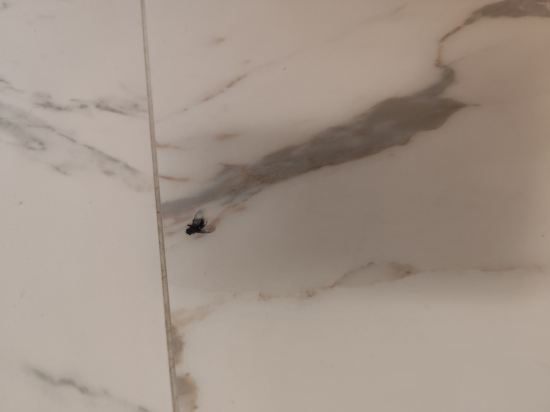 奧莉亞安娜宮酒店優惠