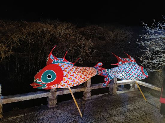 黃山排雲型旅飯店優惠